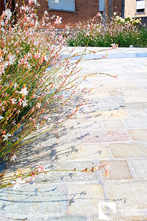 003_Amenagement_Terrasse_en_pierre_bleue_exterieur_Samuel_Tonneau_amenagement_jardin_entretiens_Tournai_Peruwelz_Tourpes_Beloeil_Mons