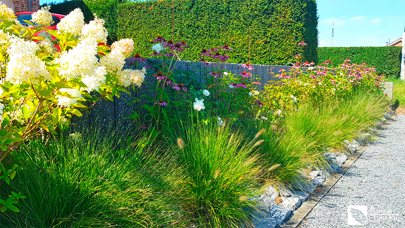020_Entretien_Plantations_Samuel_Tonneau_amenagement_jardin_entretiens_Tournai_Peruwelz_Tourpes_Beloeil_Mons
