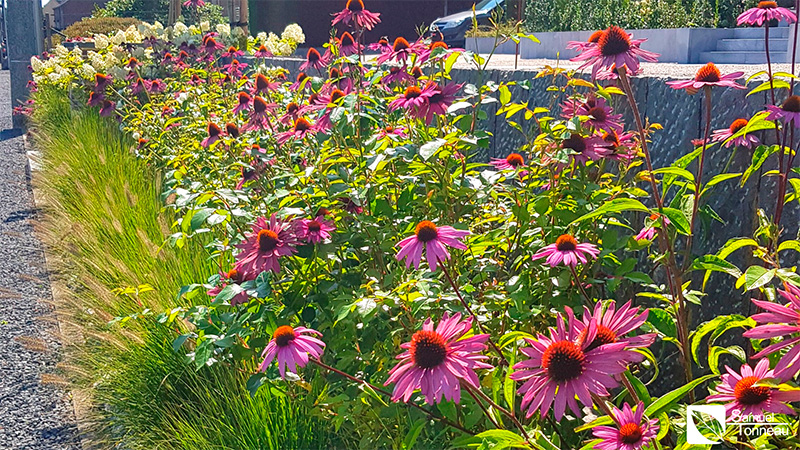 021_Entretien_Plantations_Samuel_Tonneau_amenagement_jardin_entretiens_Tournai_Peruwelz_Tourpes_Beloeil_Mons