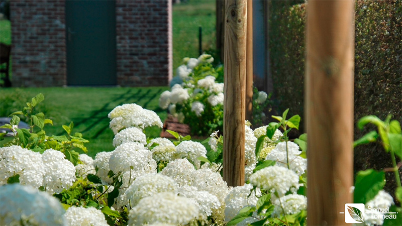 030_Entretien_Plantations_Samuel_Tonneau_amenagement_jardin_entretiens_Tournai_Peruwelz_Tourpes_Beloeil_Mons